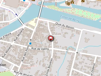 Carte de Robisnei Ribeiro à Vierzon