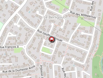 Carte de Rabu Thierry à Couëron