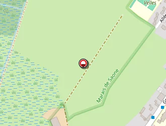 Carte de Conche Dimitri à Saône