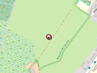 Carte de Anthony Taxi à Saône