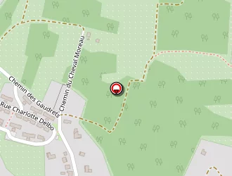 Carte de Carly Florence à Vierzon