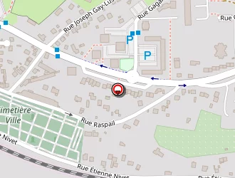 Carte de Ballerini Alain à Vierzon