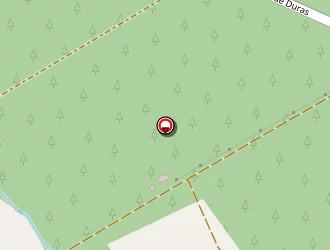 Carte de Audebert Patrick à Saint-benoît-la-forêt