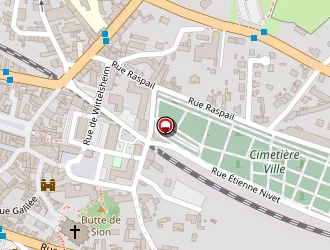 Carte de Centre De Services Caf à Vierzon