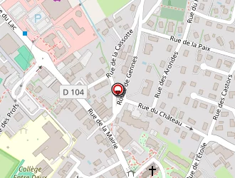 Carte de Auto-ecole Du Centre à Saône