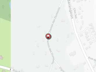 Carte de Lecellier Yann à Allogny