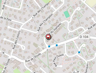 Carte de Boucard Thierry à Saône