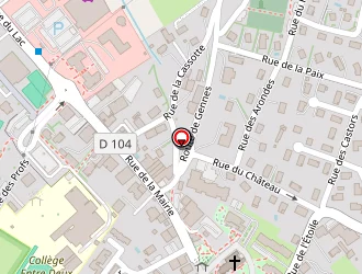 Carte de Virgil Magnétiseur Spirite à Saône