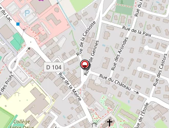 Carte de Anthony Taxi à Saône