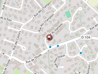 Carte de Pisaroni Eric à Saône