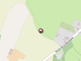 Carte de Beaumann David à Couëron