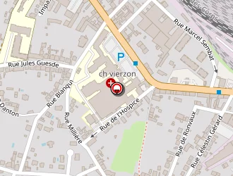 Carte de François Leveiller à Vierzon