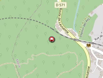 Carte de Fevre Emmanuel à Morre