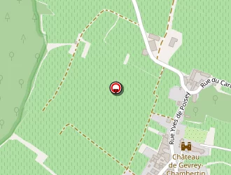 Carte de Camus Hubert à Gevrey-chambertin