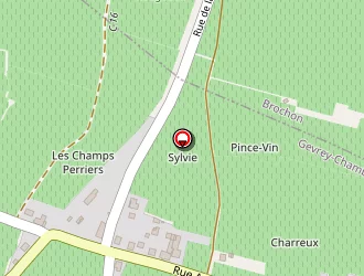 Carte de Damoy Pierre à Gevrey-chambertin