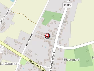 Carte de Thierry Salmon à Saint-branchs