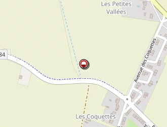 Carte de Godefroy Michel à Saint-branchs