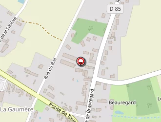 Carte de Electro Rep' à Saint-branchs