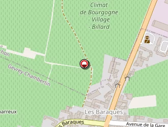 Carte de Laurent Michel à Gevrey-chambertin