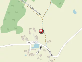 Carte de Plisson Ravalement à Saint-branchs