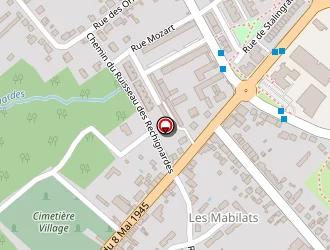 Carte de Gobillard Alain à Vierzon