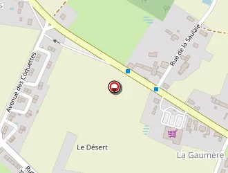 Carte de Equinoxe à Saint-branchs