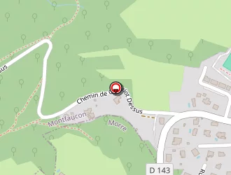 Carte de Roussel Precision à Morre