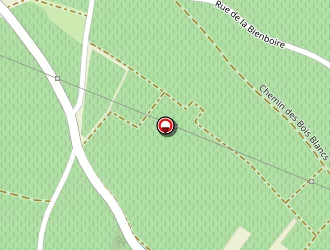 Carte de Fresneau Anne à Saumur