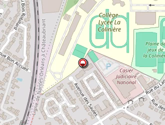 Carte de Renault Pro + Garage Lizé à Nantes