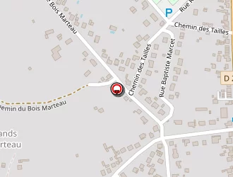 Carte de Dias Antonio Daniel à Vierzon