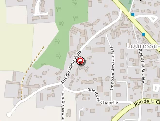 Carte de Hervé Guy à Louresse-rochemenier