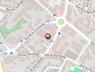 Carte de Brillaud Didier à Nantes