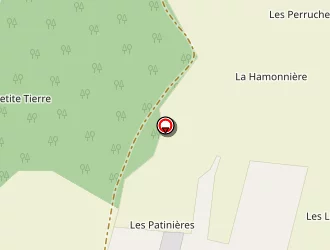 Carte de Morin Jean-pierre à Saché