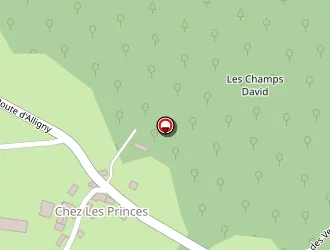 Carte de Figus Alain à Saint-brisson