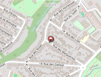 Carte de Chrysantie Fleurs à Nantes