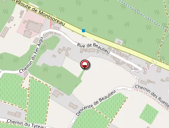 Carte de Vadé Patrick (earl) à Saumur