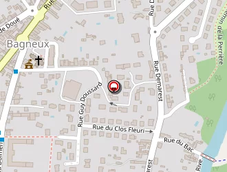 Carte de Pelletsapec.com à Saumur