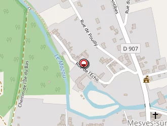 Carte de Roy Georges à Mesves-sur-loire