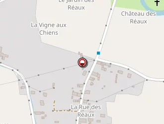 Carte de Lezard Graphic à Chouzé-sur-loire