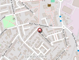 Carte de Hemeria à Nantes