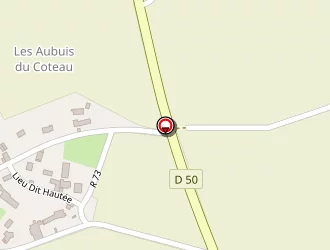 Carte de Richard Etienne à Saint-branchs