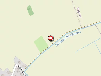 Carte de Pierre Daniel à Vitreux