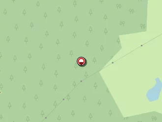 Carte de Michel Cutini à Rigny-ussé