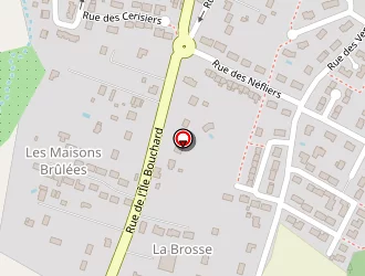 Carte de Glass Tech Ltd Michel à Cheillé