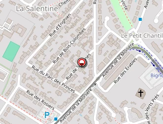 Carte de Sas Dugué Immobilier à Orvault