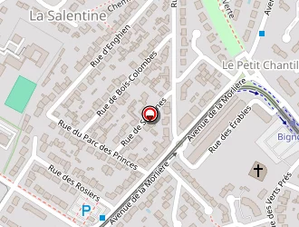 Carte de 4 Rue Suresnes Orvault (s.c.i) à Orvault