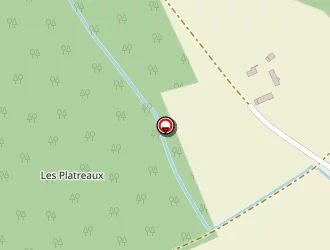 Carte de Arnault Vivien à Saché