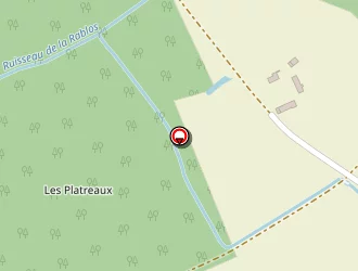 Carte de Heyne Sonia à Saché