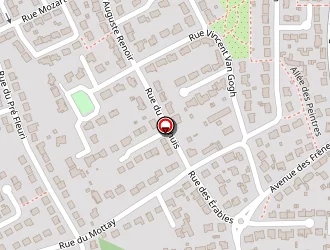 Carte de Qiwi à Sainte-luce-sur-loire