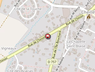 Carte de Azay Elagage à Cheillé